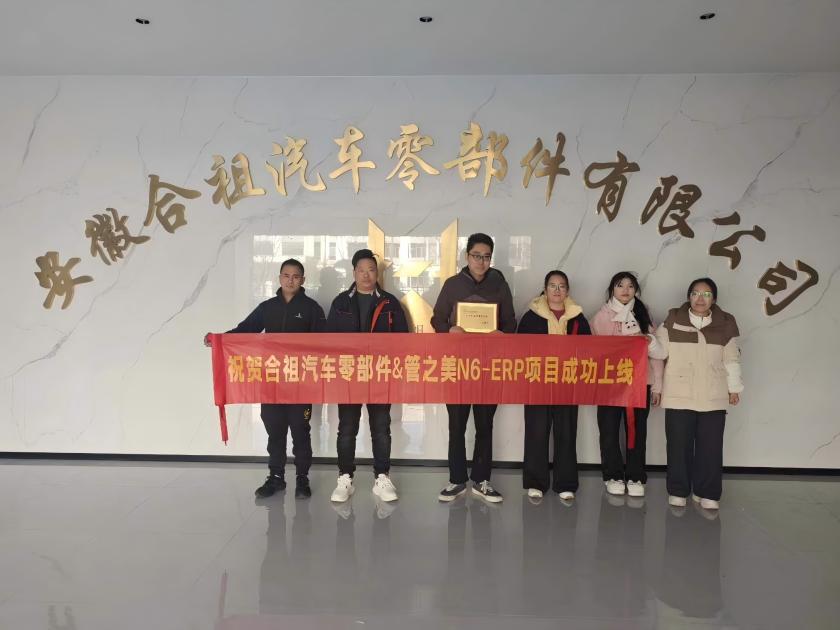 安徽合祖ERP项目上线